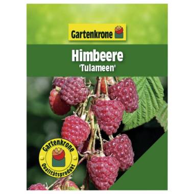 Gartenkrone Himbeere, Rubus idaeus »Tulameen«