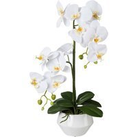Orchidee Phalaenopsis, künstlich, weiß, ca