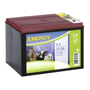 Kerbl Weidezaun Trockenbatterie Zink-Kohle 9 Volt 9 Volt, 55 Ah