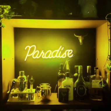 Paradise Neon Schild Custom Flex Led Schlafzimmer