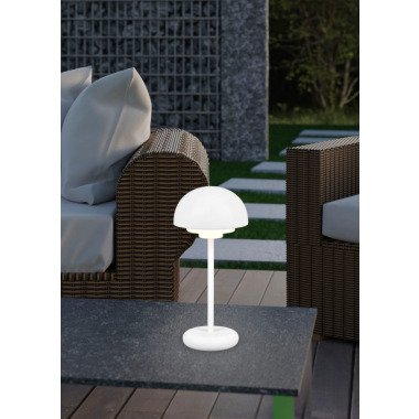 TRIO Leuchten LED Außen-Tischleuchte »Elliot«