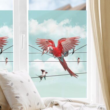 Fensterfolie Himmel mit Vögeln