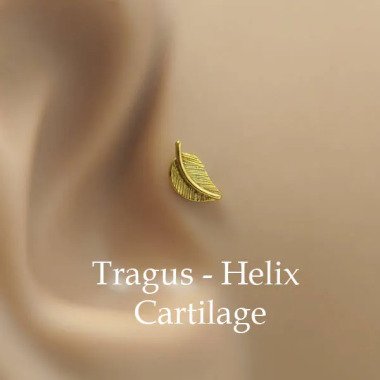 Blatt Helix Ohrring 16G Tragus Piercing Stud Gold 16 Gauge Knorpel
