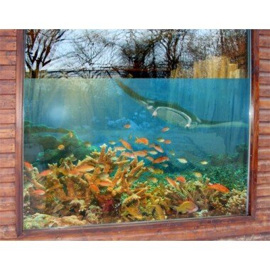 Fensterfolie Korallenriff Fisch Set