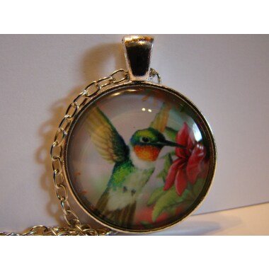 Halskette Kette Medaillon Necklace Glas Cabochon Kolibri Vogel Anhänger