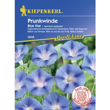 Kiepenkerl Prunkwinde Blue Star Ipomoea purpurea, Inhalt: ca. 20 Pflanzen