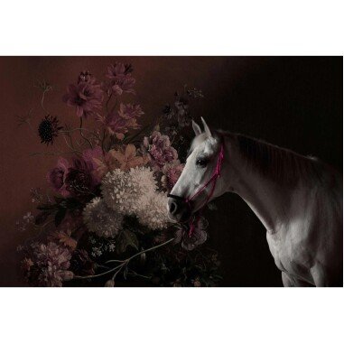 Fototapete Pferd Blumen Blumenbouquet Weiß