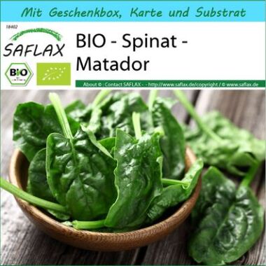 SAFLAX - Geschenkset - Bio - Spinat - Matador