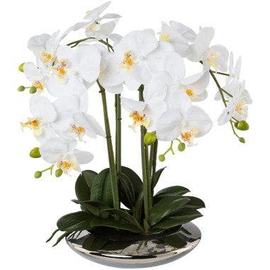Creativ green Kunstorchidee »Deko-Orchidee