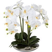 Kunstpflanze Phalaenopsis 'Real Touch', weiß