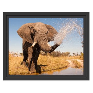 Gerahmtes Wandbild schöner Elefant spritzt mit Wasser