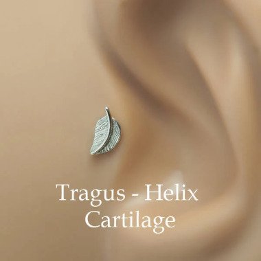 Blattgestüt Helix-Helix Stud 16 Gauge-Helix Earring-16G Tragus Stud-Knorpel