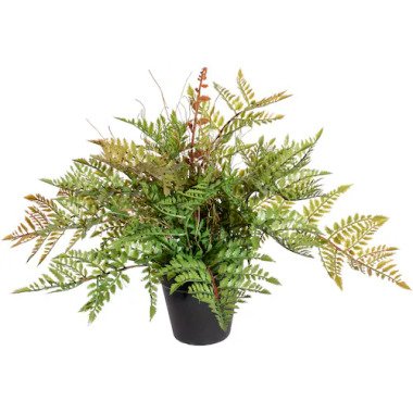Creativ green Künstliche Zimmerpflanze »Farnbusch«