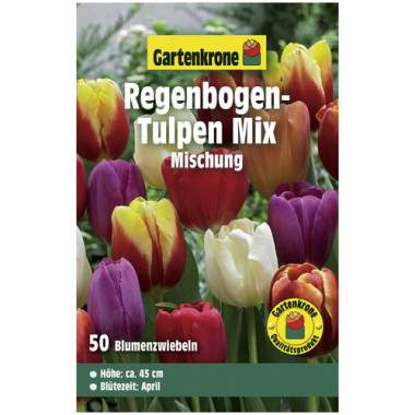 Gartenkrone Blumenzwiebeln Triumph-Tulpe