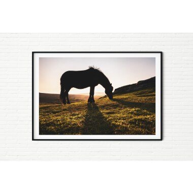 Pferdefotografie Druck | Pony Foto Wandkunst