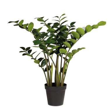 Zamioculcas Glücksfeder Kunstpflanze, 90 cm
