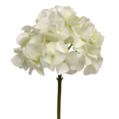 Künstliche Hortensien stengel blume 50 cm weiß