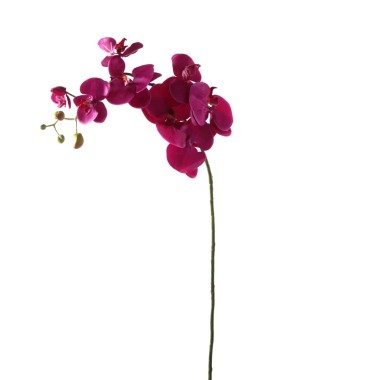 Orchidee Magenta 100cm