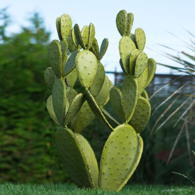 Imposanter hellgrüner Deko Kaktus aus Metall Niara L