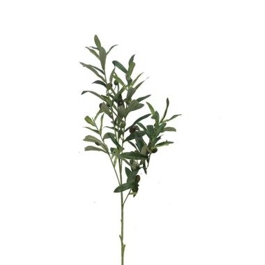 Olivenzweig 70cm