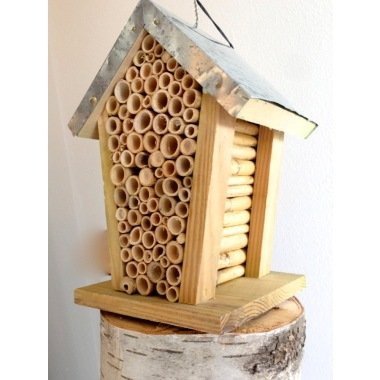 Bienenhotel zur Beobachtung von Bienen, Bienenhaus für Biene oder Insektenhotel