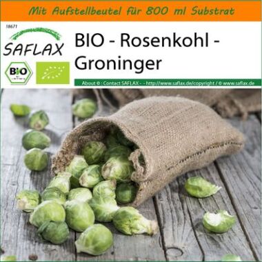 SAFLAX Garten im Beutel Bio Rosenkohl Groninger