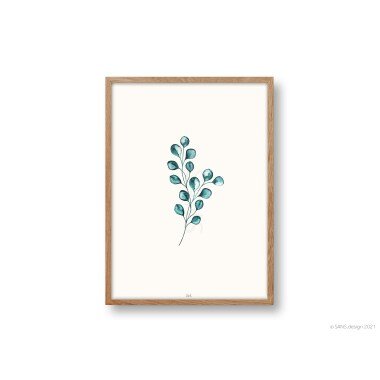 Eukalyptus Poster, Kunstdruck, Bild, Eukalyptuszweig, Pflanzenposter, Botanik
