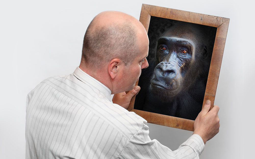 Mann schaut in den Spiegel und sieht einen Affen.