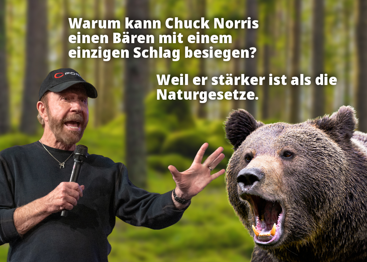 Warum kann Chuck Norris einen Bären mit einem einzigen Schlag besiegen? Weil er stärker ist als die Naturgesetze.