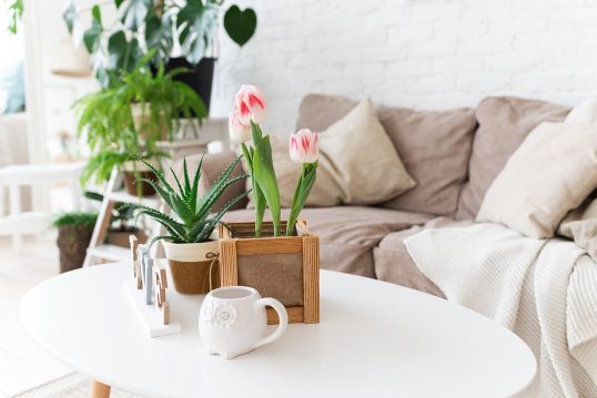 Frühlingsdeko auf dem weißen Beistelltisch – Pinke Krokusse – Pflanze im Pflanzgefäß – bra...