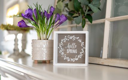 Frühlingsdekoration auf der Kommode – Beispiel mit Frühlingsblumen im Pflanzgefäß & Bilderrahm...
