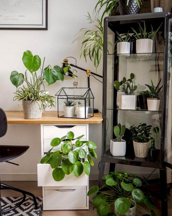 Home Office Arbeitszimmer mit vielen Pflanzen