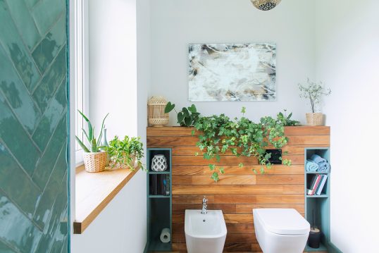 Idee für die moderne Badezimmergestaltung mit Holz & Pflanzen