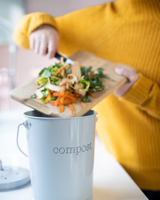 Komposter für den Küchenmüll